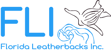 Florida Leatherbacks Inc.